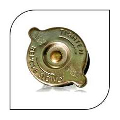 Category image for Radiator Caps, Thermostats